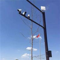 �o�������O��